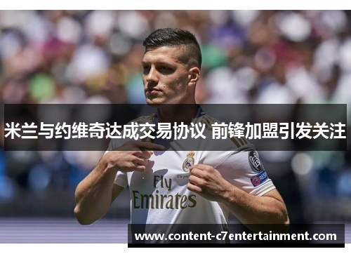 米兰与约维奇达成交易协议 前锋加盟引发关注 米兰与约维奇达成交易协议 前锋加盟引发关注