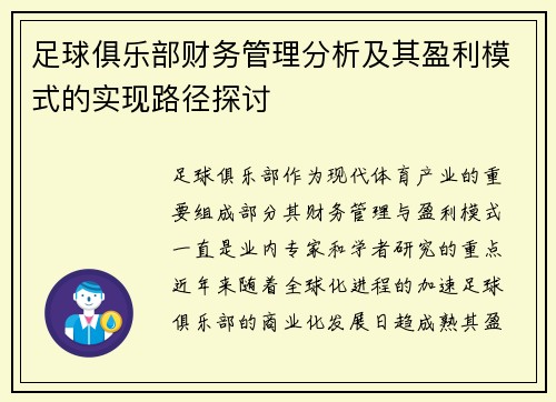 足球俱乐部财务管理分析及其盈利模式的实现路径探讨