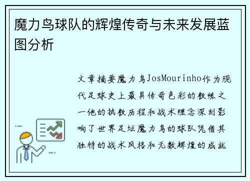 魔力鸟球队的辉煌传奇与未来发展蓝图分析